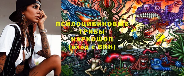 тгк Арсеньев