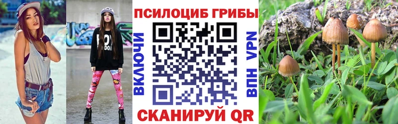 цена Новый Оскол kraken как войти мориарти формула Псилоцибиновые грибы MAGIC MUSHROOMS